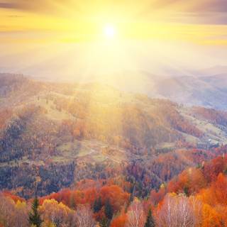 Autumn 1440x2560 wallpaper
