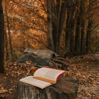Books autumn trees wallpaper