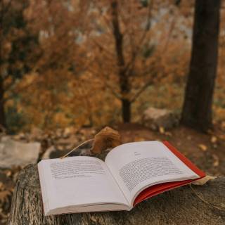 Books autumn trees wallpaper