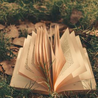 Books autumn trees wallpaper