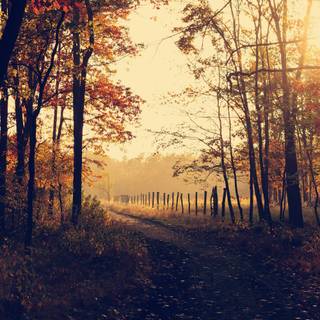 Autumn desktop HD wallpaper