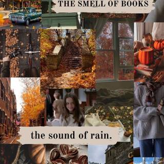 Books autumn trees wallpaper