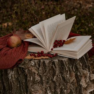 Books autumn trees wallpaper