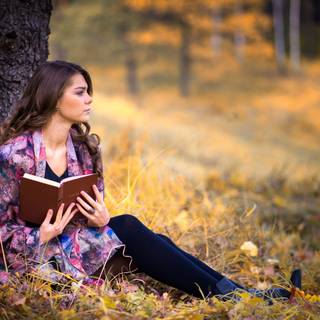 Books autumn trees wallpaper