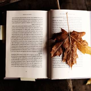 Books autumn trees wallpaper