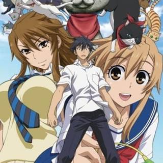 Kanokon: The Great Midsummer Carnival wallpaper