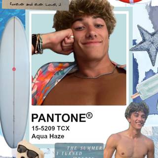 The Summer I Turned Pretty wallpaper