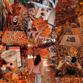 Fall autumn cozy wallpaper