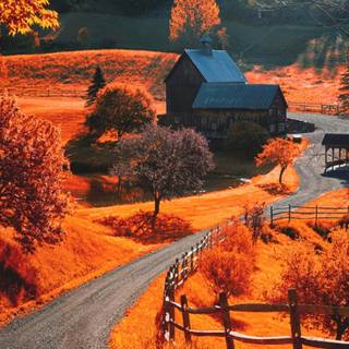 Autumn home landscape wallpaper