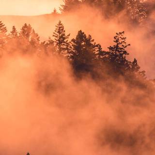 iPad foggy autumn wallpaper