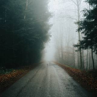 iPad foggy autumn wallpaper