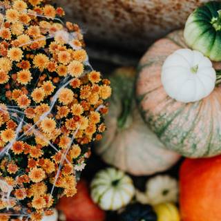 Halloween pumpkin flowers wallpaper