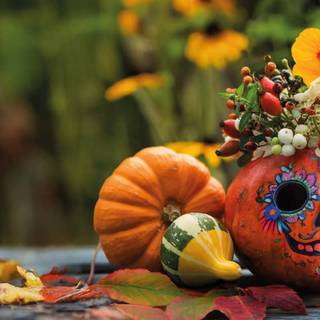 Halloween pumpkin flowers wallpaper