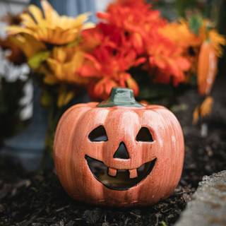 Halloween pumpkin flowers wallpaper
