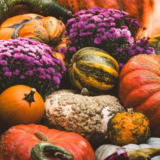 Halloween pumpkin flowers wallpaper