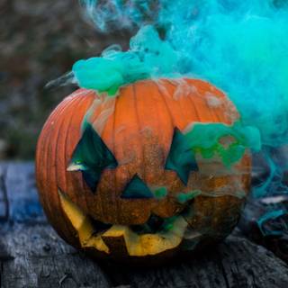 Halloween pumpkin flowers wallpaper