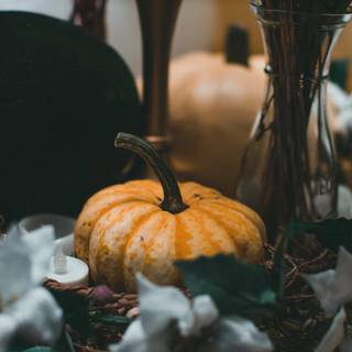 Halloween pumpkin flowers wallpaper