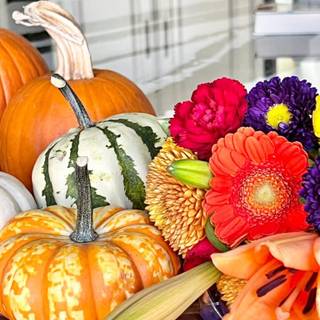 Halloween pumpkin flowers wallpaper