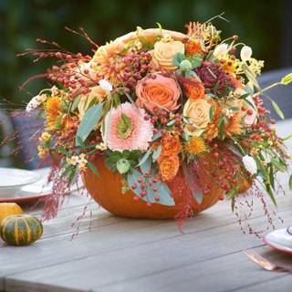 Halloween pumpkin flowers wallpaper