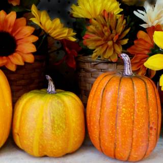 Halloween pumpkin flowers wallpaper