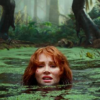 Claire Dearing wallpaper