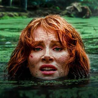 Claire Dearing wallpaper