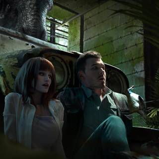 Claire Dearing wallpaper