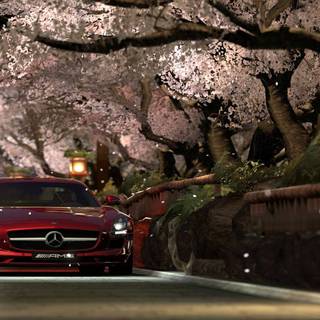 Cherry blossom cars wallpaper