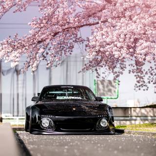 Cherry blossom cars wallpaper