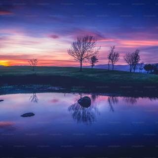 Nature evening wallpaper