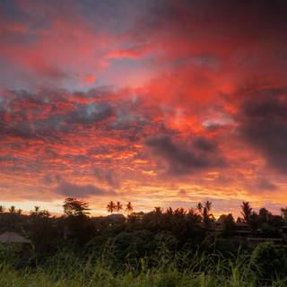 Nature evening wallpaper