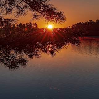 Nature evening wallpaper