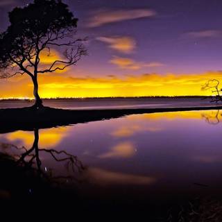 Nature evening wallpaper