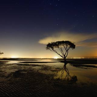 Nature evening wallpaper