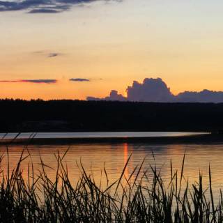 Nature evening wallpaper