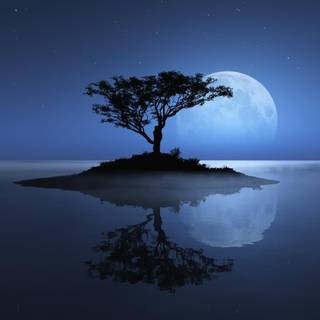 Nature evening wallpaper