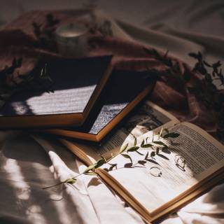 Dark Academia 4k iPhone wallpaper