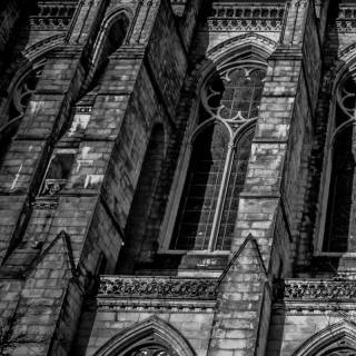 Dark Academia 4k iPhone wallpaper