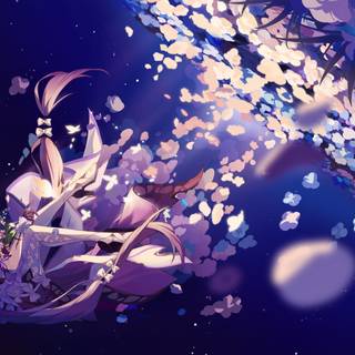 Castorice computer wallpaper