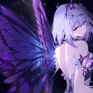 Castorice computer wallpaper