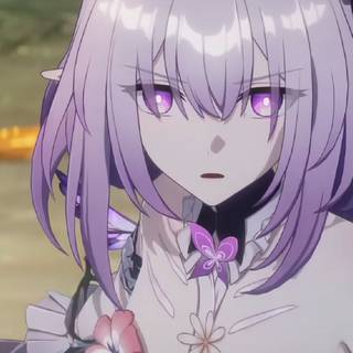 Castorice computer wallpaper