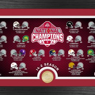 Ohio State Buckeyes football National Champions 2025