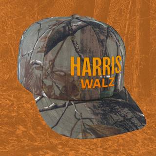 Camouflage hat wallpaper