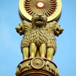 Ashoka emblem wallpaper