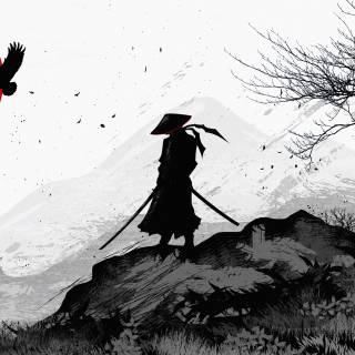 African samurai wallpaper