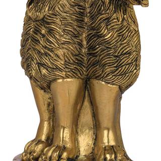 Ashoka emblem wallpaper