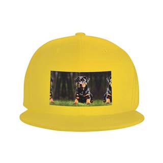 Flat Bill hat wallpaper