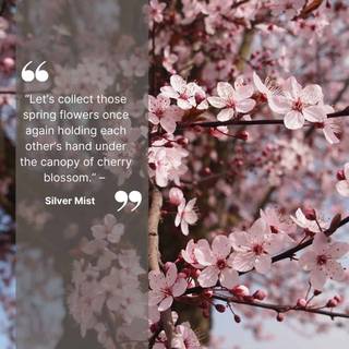 Cherry Blossom aesthetic sad quote wallpaper