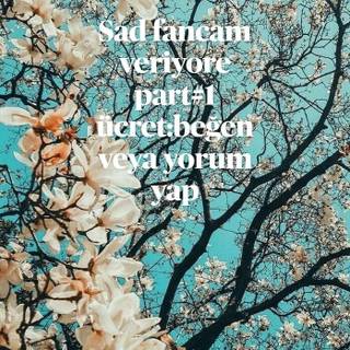 Cherry Blossom aesthetic sad quote wallpaper