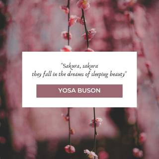 Cherry Blossom aesthetic sad quote wallpaper